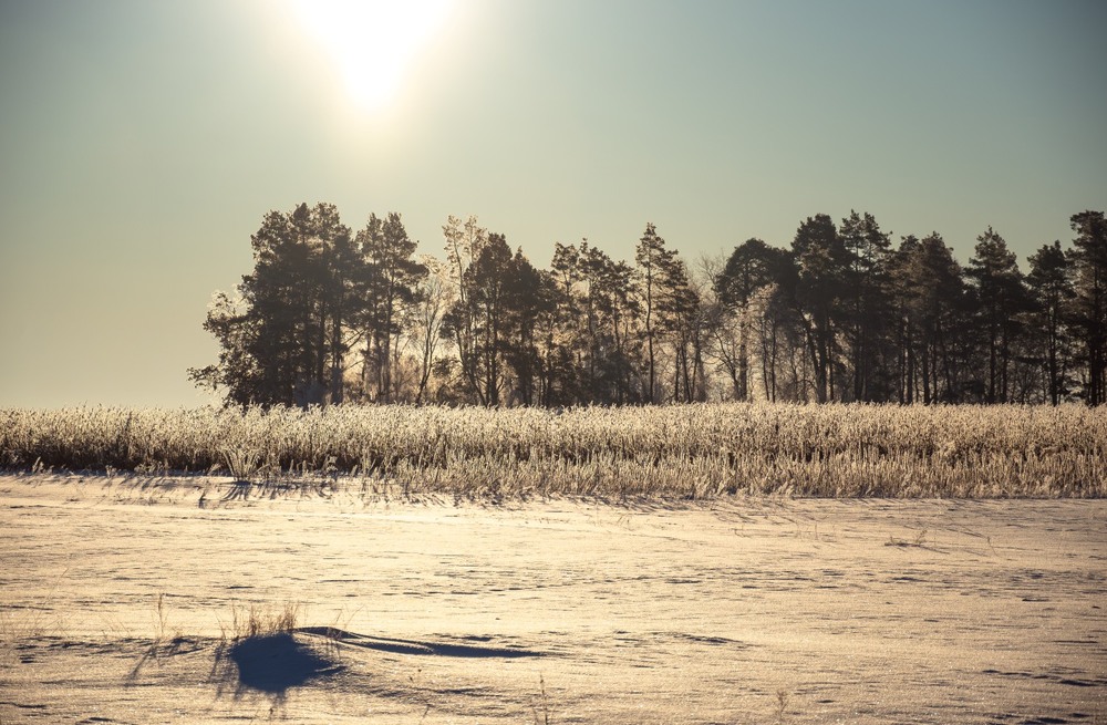 Фотографія Пейзаж / Олександр Ярмошевич / photographers.ua
