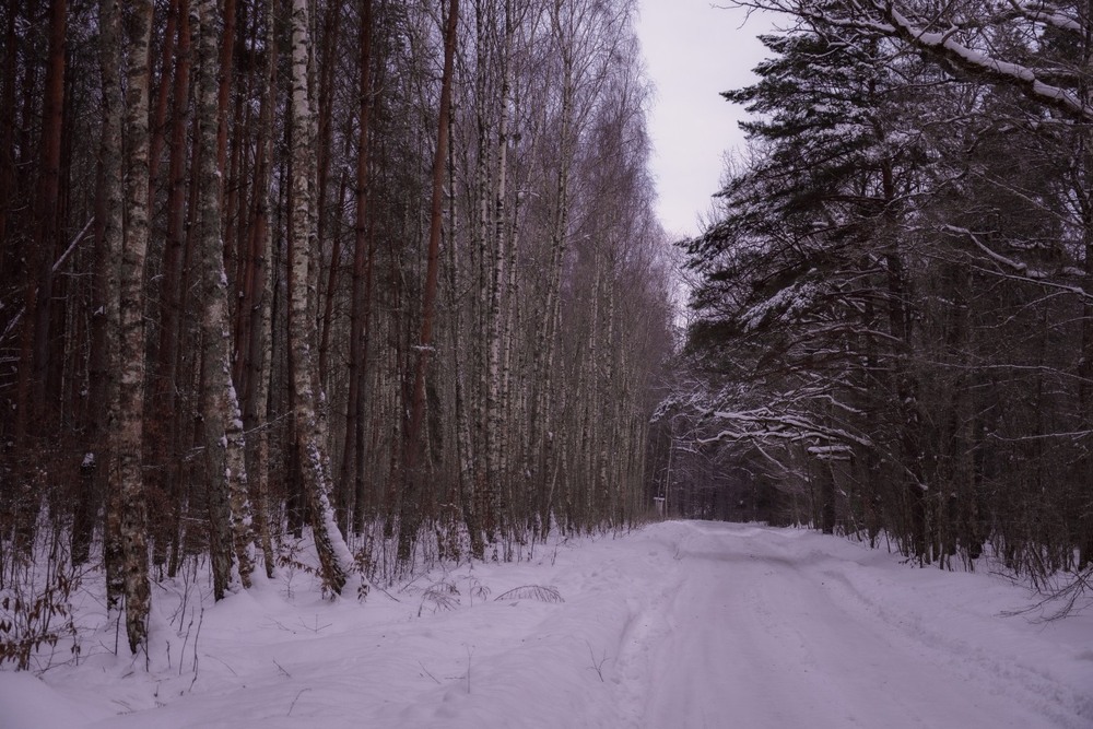 Фотографія Пейзаж / Олександр Ярмошевич / photographers.ua