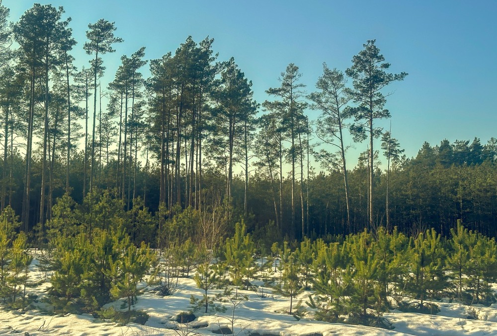 Фотографія Пейзаж / Олександр Ярмошевич / photographers.ua