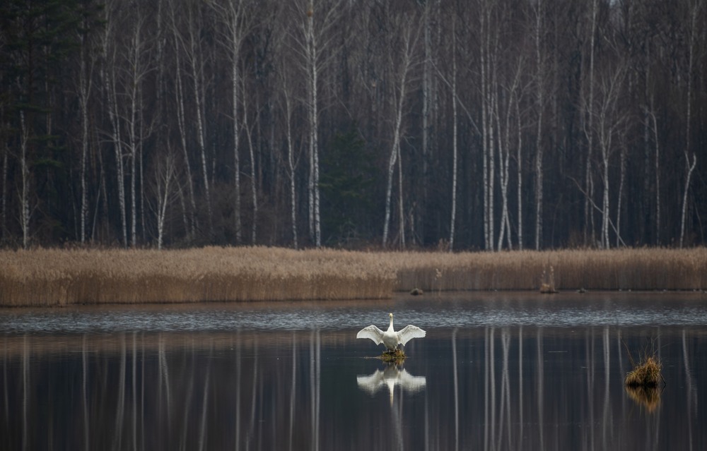 Фотографія Пейзаж / Олександр Ярмошевич / photographers.ua