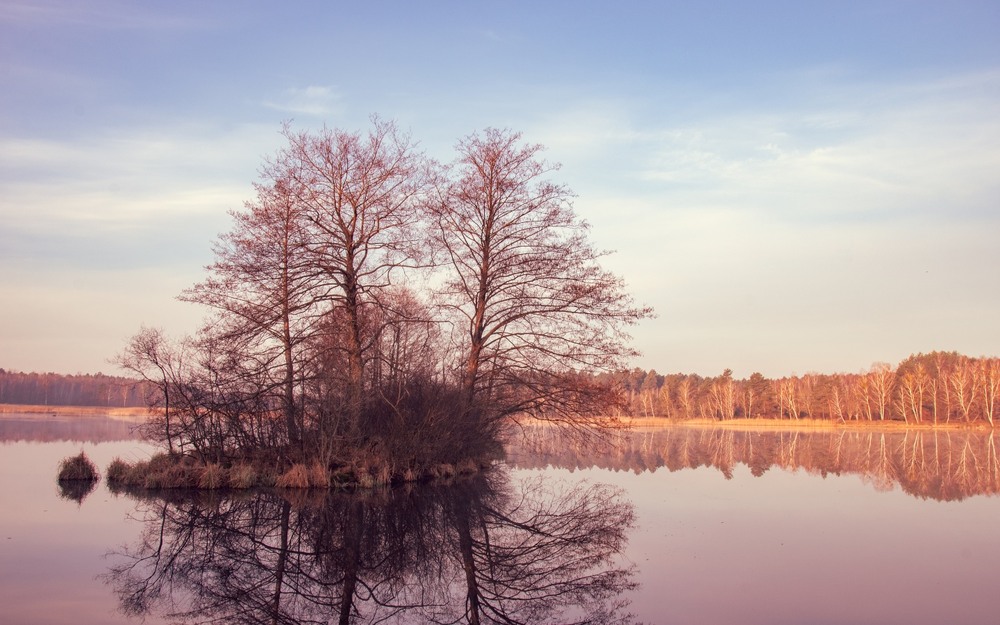 Фотографія Пейзаж / Олександр Ярмошевич / photographers.ua