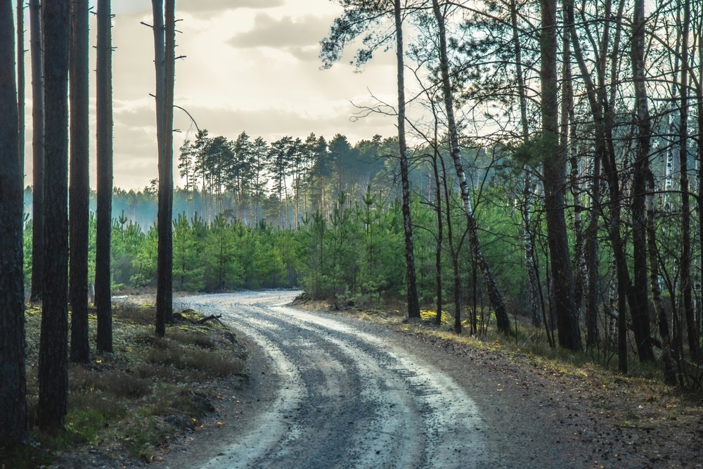 Фотографія Пейзаж / Олександр Ярмошевич / photographers.ua