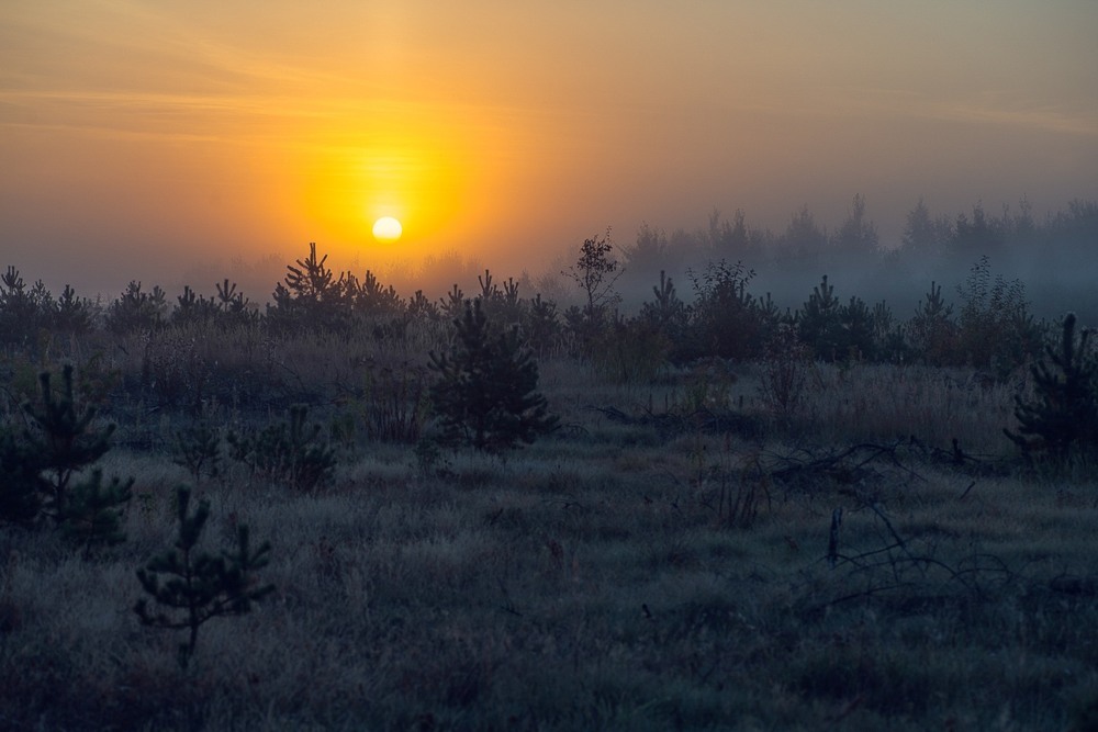 Фотографія Пейзаж / Олександр Ярмошевич / photographers.ua