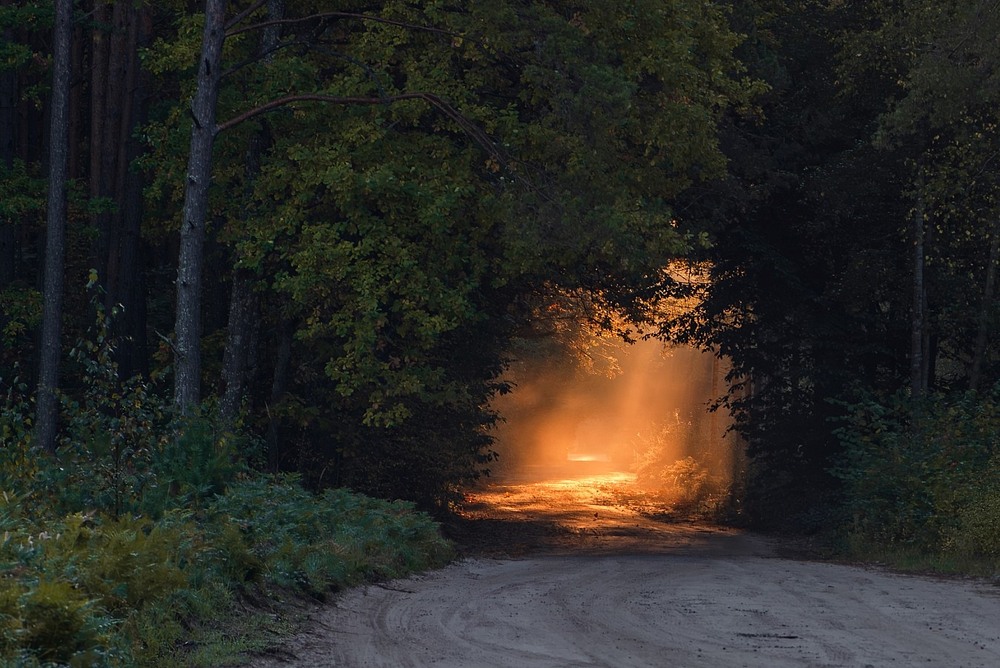 Фотографія Пейзаж / Олександр Ярмошевич / photographers.ua