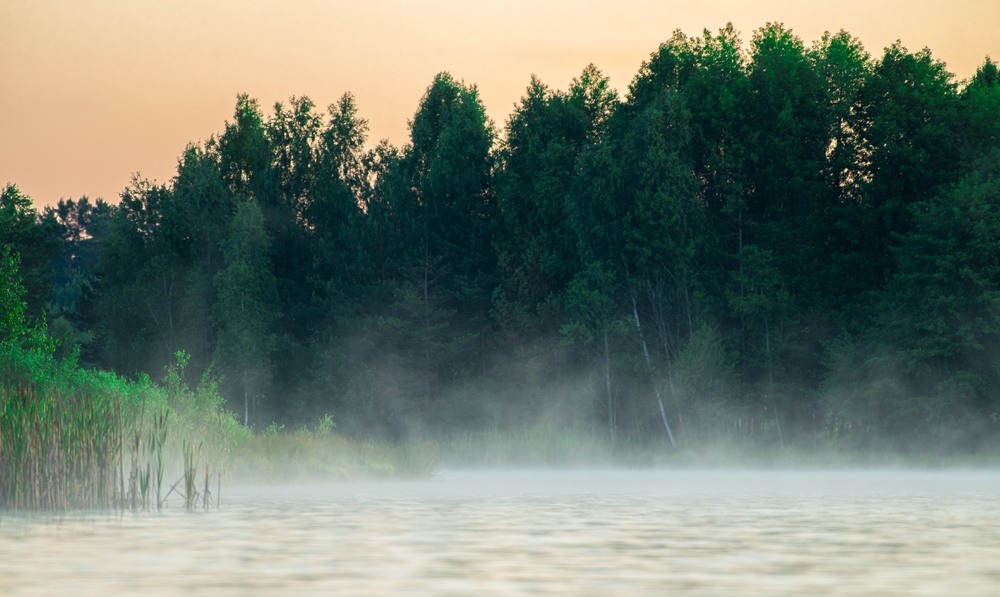 Фотографія ***** / Олександр Ярмошевич / photographers.ua