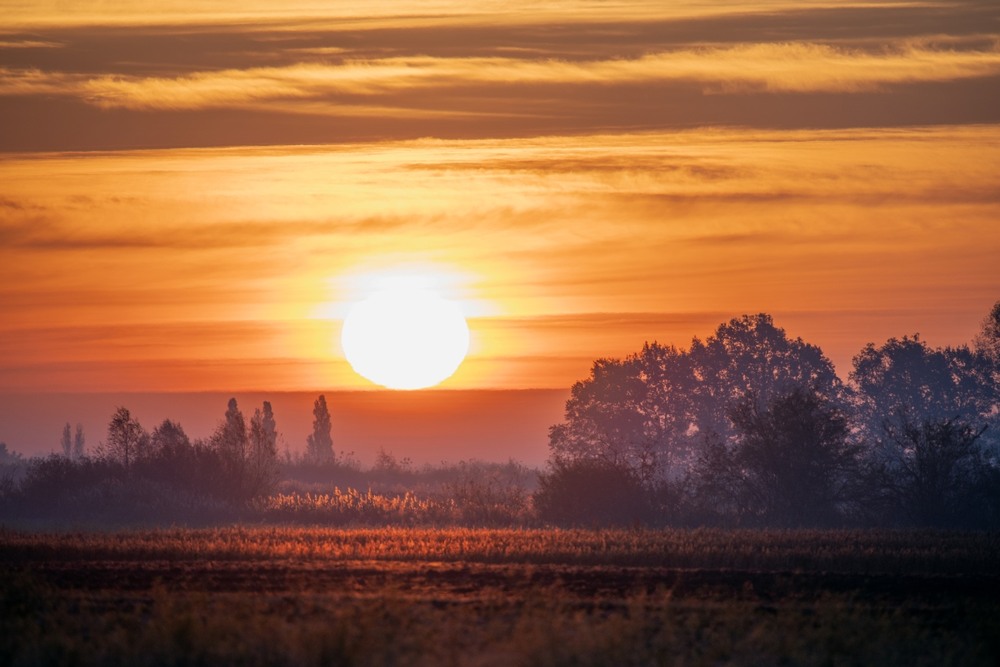 Фотографія ***** / Олександр Ярмошевич / photographers.ua
