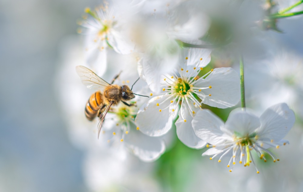 Фотографія ***** / Олександр Ярмошевич / photographers.ua