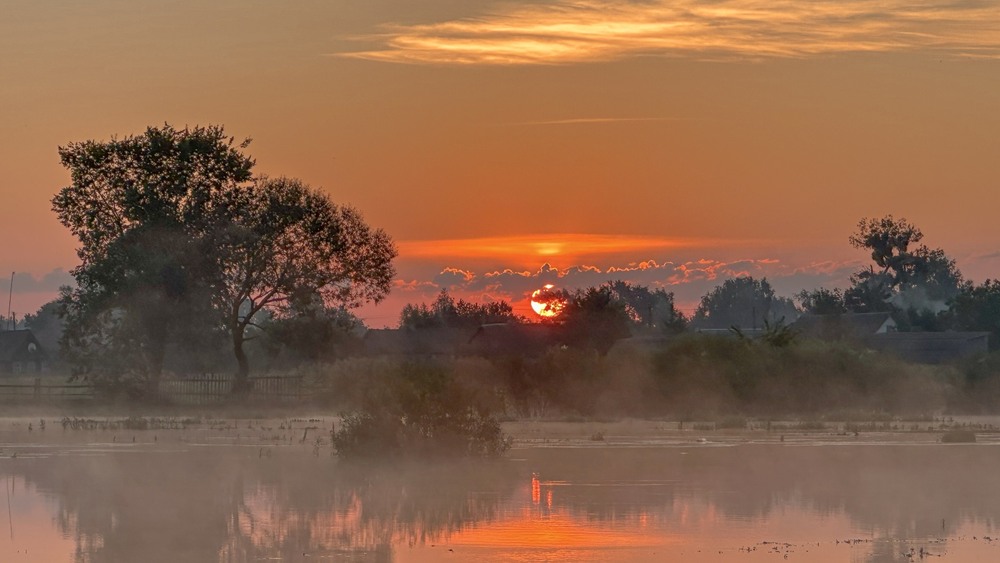 Фотографія ***** / Олександр Ярмошевич / photographers.ua