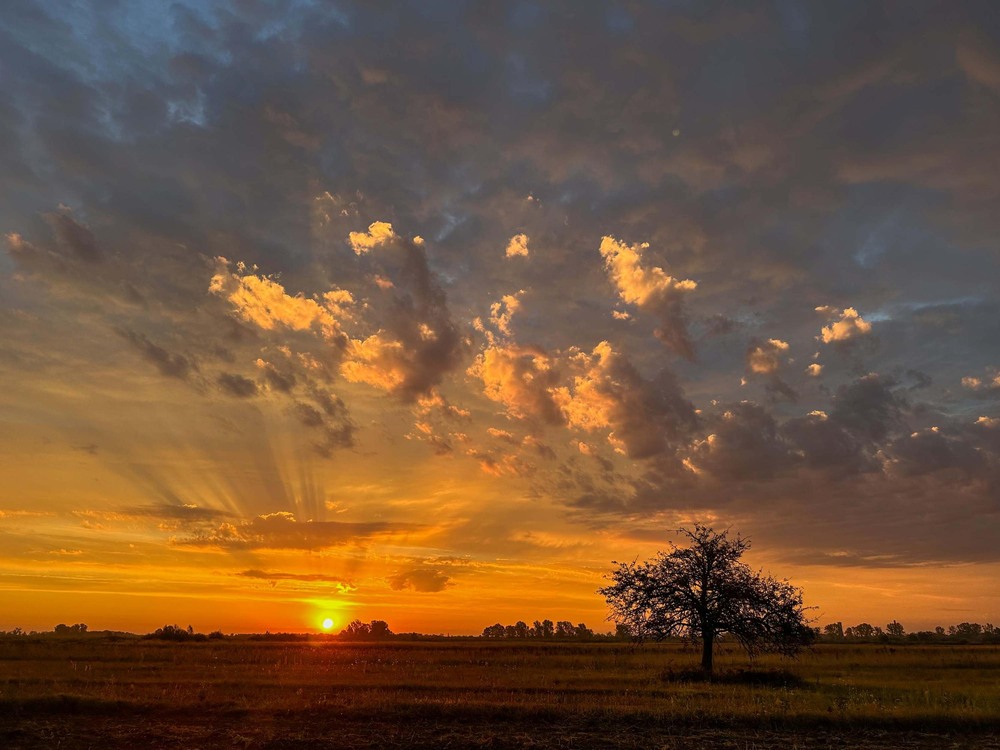 Фотографія Пейзаж / Олександр Ярмошевич / photographers.ua