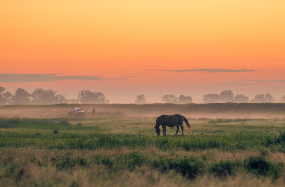 Фотографія ***** / Олександр Ярмошевич / photographers.ua