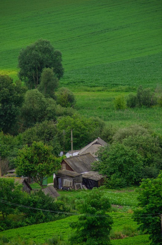 Фотографія Greenous / Altrava / photographers.ua