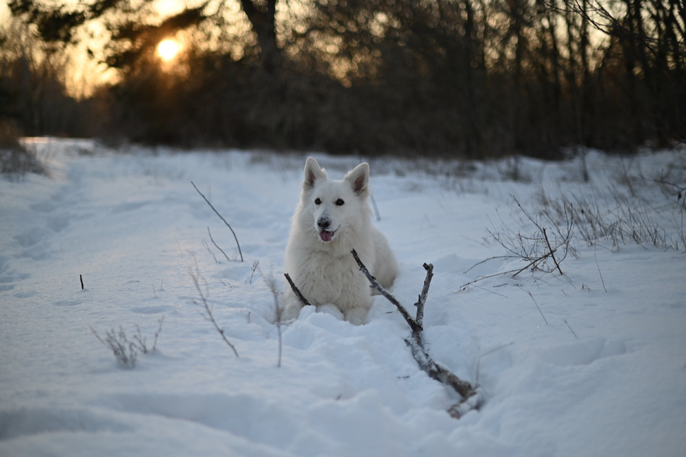 Фотографія Світло зими / Olha Kubryk / photographers.ua