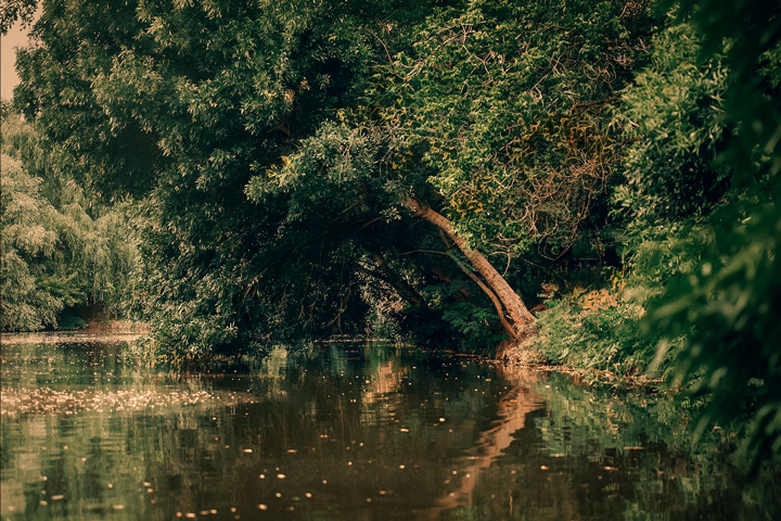 Фотографія Пейзаж / Наталя Сиротюк / photographers.ua