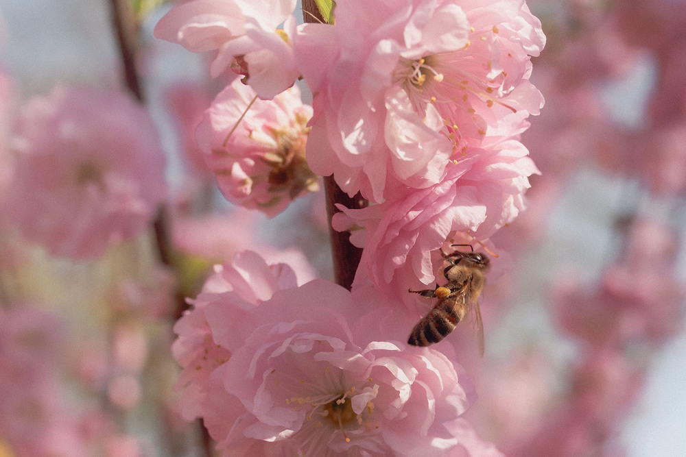 Фотографія ,,, / Наталя Сиротюк / photographers.ua