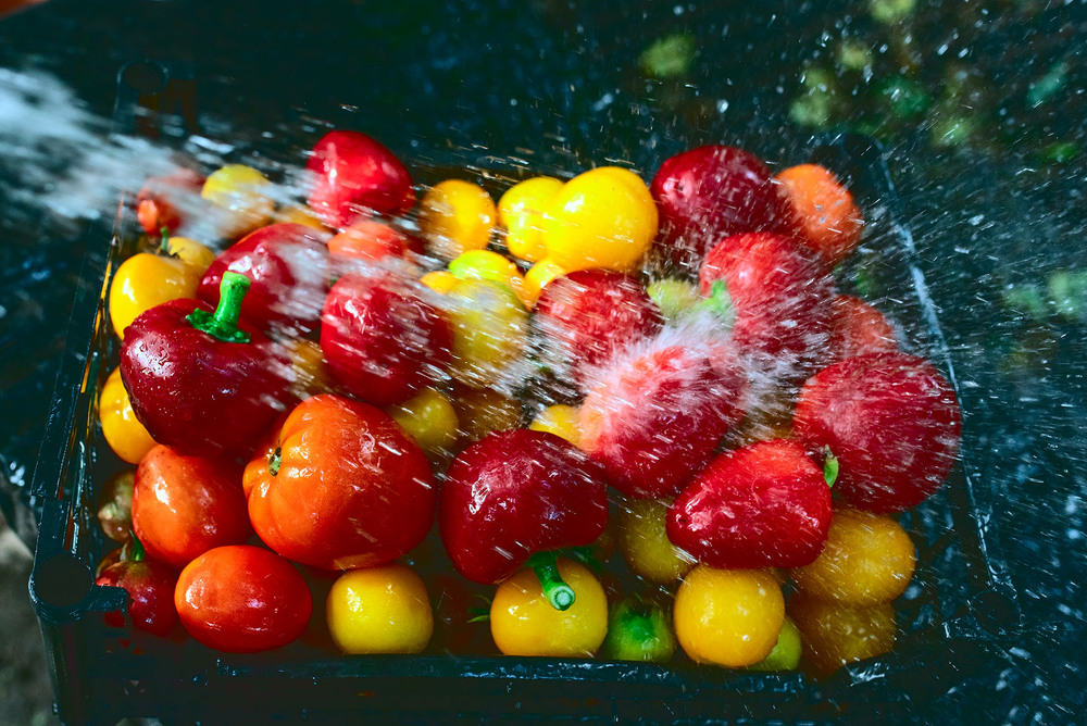 Фотографія врожай 2025 / Наталя Сиротюк / photographers.ua