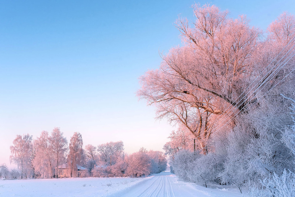 Фотографія крижаний ранок / Наталя Сиротюк / photographers.ua