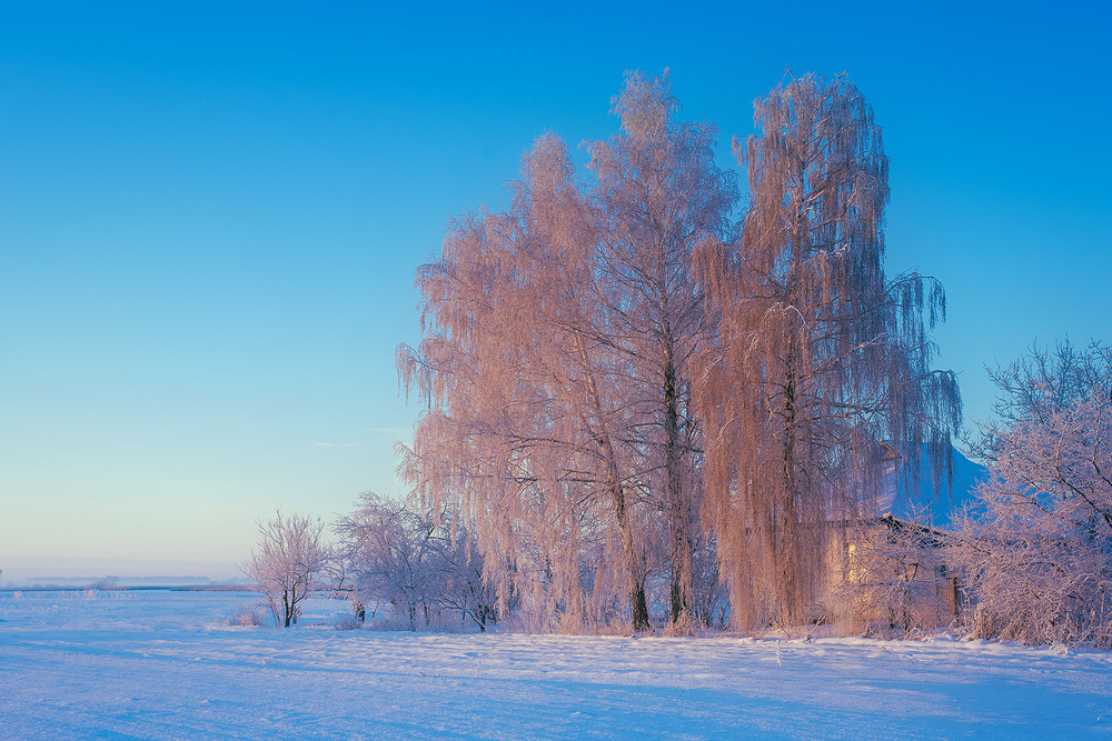 Фотографія ранок / Наталя Сиротюк / photographers.ua