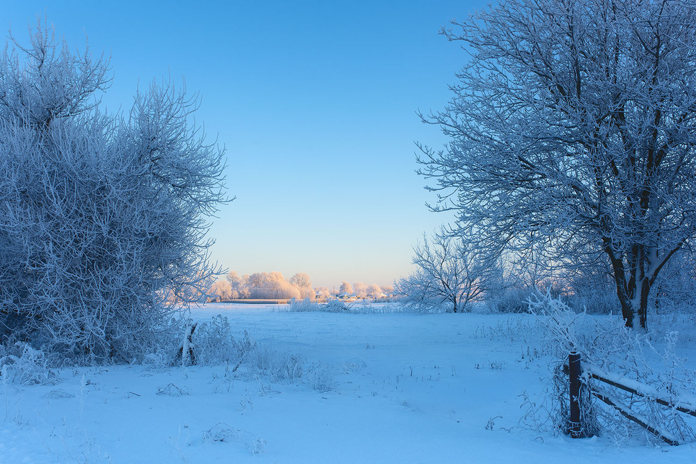 Фотографія а на  тій вулиці вже Сонечко....))) / Наталя Сиротюк / photographers.ua