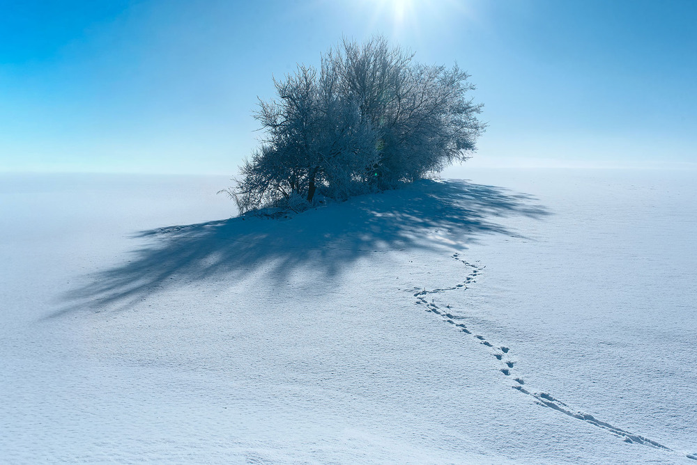 Фотографія Наслідили.... / Наталя Сиротюк / photographers.ua