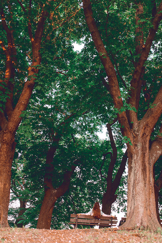 Фотографія Анастасія та дерева / Наталя Сиротюк / photographers.ua