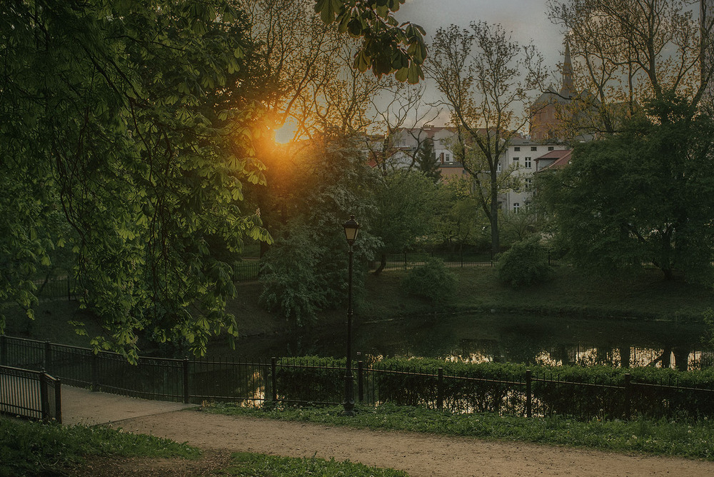 Фотографія Разное / Наталя Сиротюк / photographers.ua