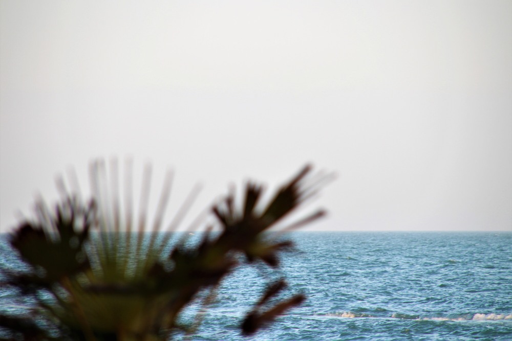 Фотографія Пейзаж / Ruslana Tarasova / photographers.ua