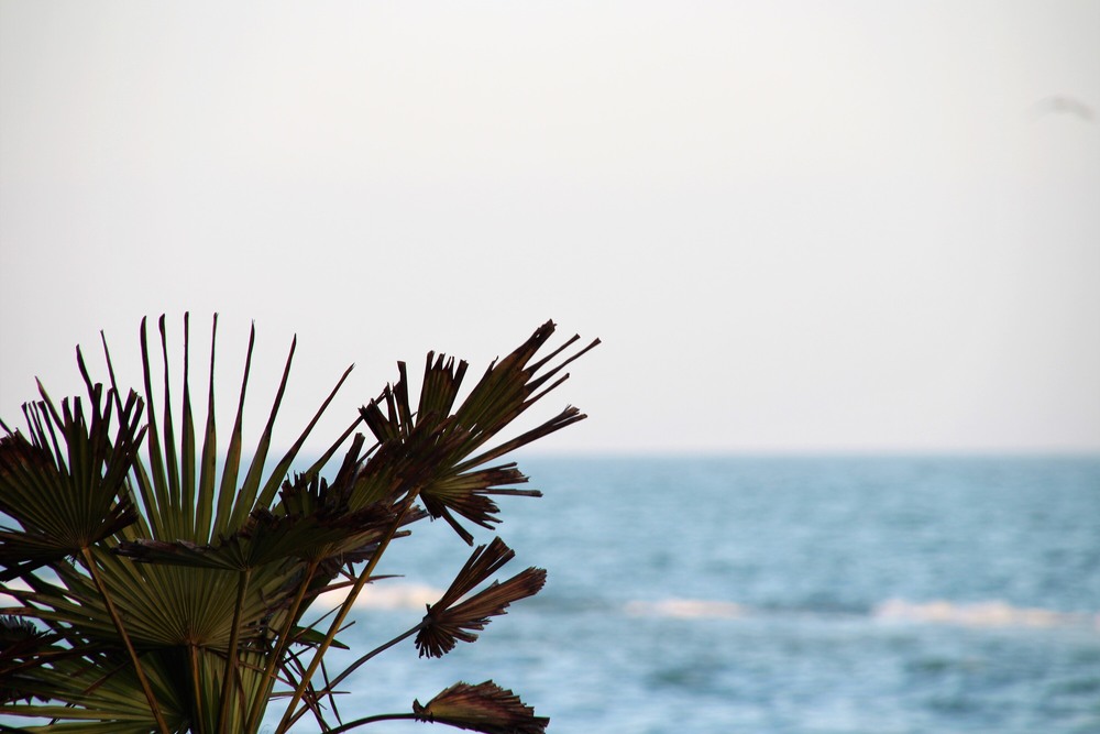 Фотографія Пейзаж / Ruslana Tarasova / photographers.ua