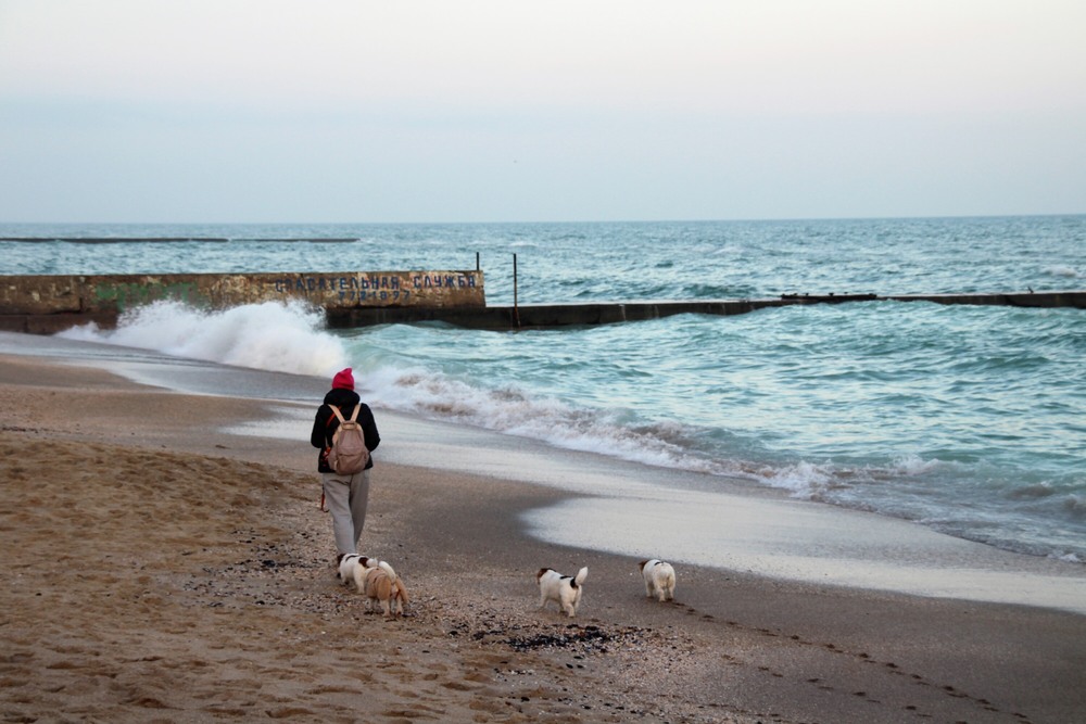 Фотографія Пейзаж / Ruslana Tarasova / photographers.ua