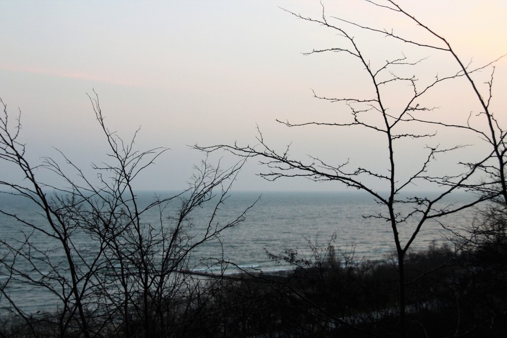 Фотографія Вечiр / Ruslana Tarasova / photographers.ua