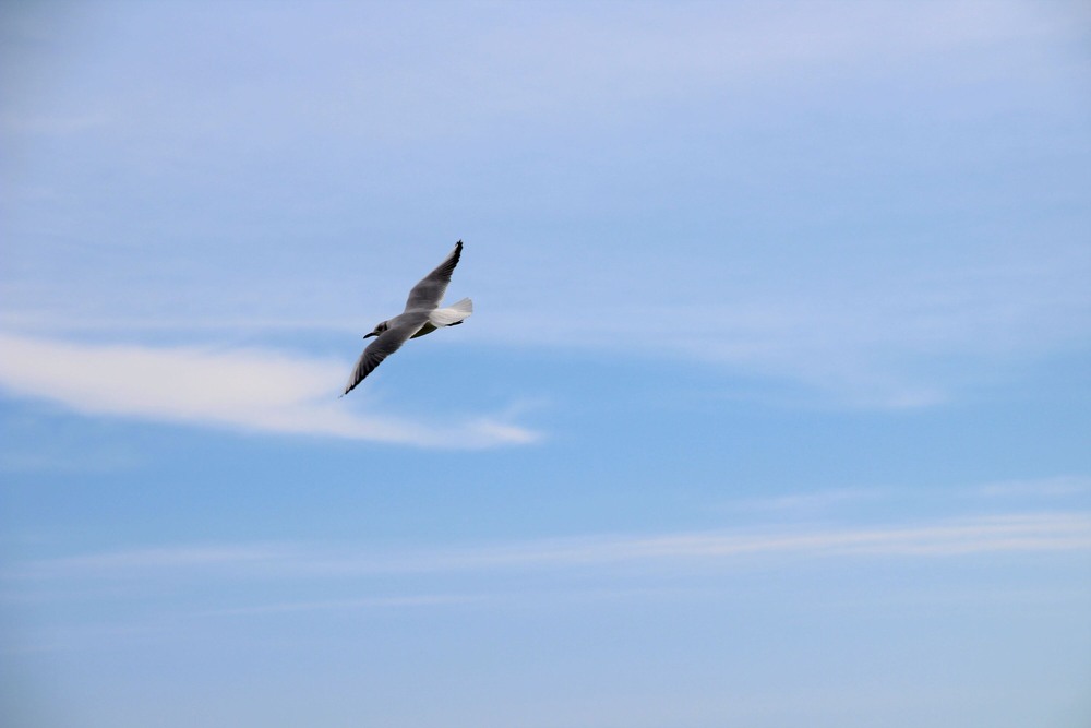 Фотографія Полiт / Ruslana Tarasova / photographers.ua