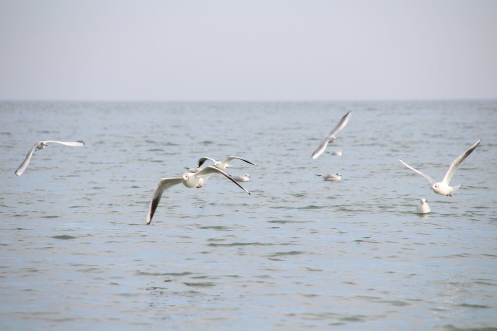 Фотографія Чорне море / Ruslana Tarasova / photographers.ua