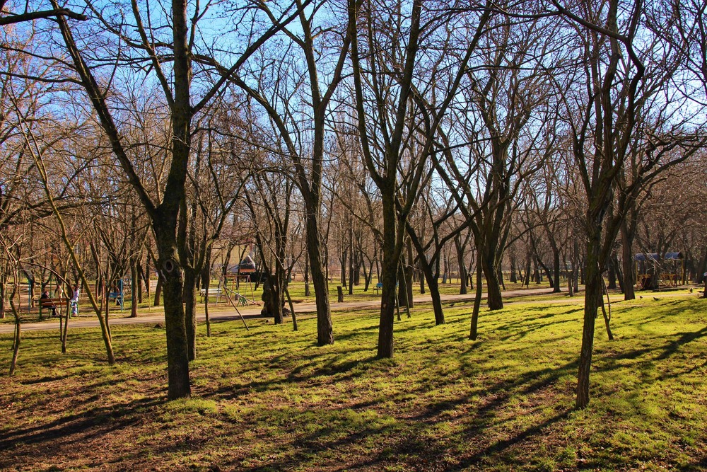 Фотографія Пейзаж / Ruslana Tarasova / photographers.ua