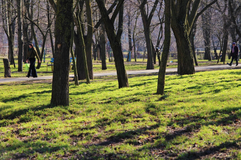 Фотографія Сонечко починає грiть) / Ruslana Tarasova / photographers.ua