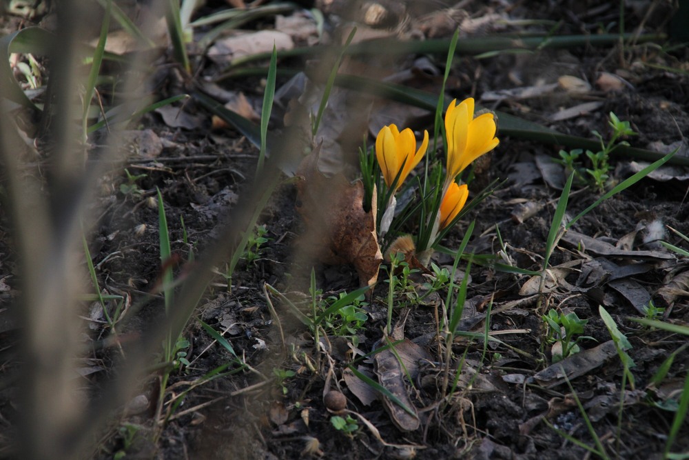 Фотографія Разное / Ruslana Tarasova / photographers.ua
