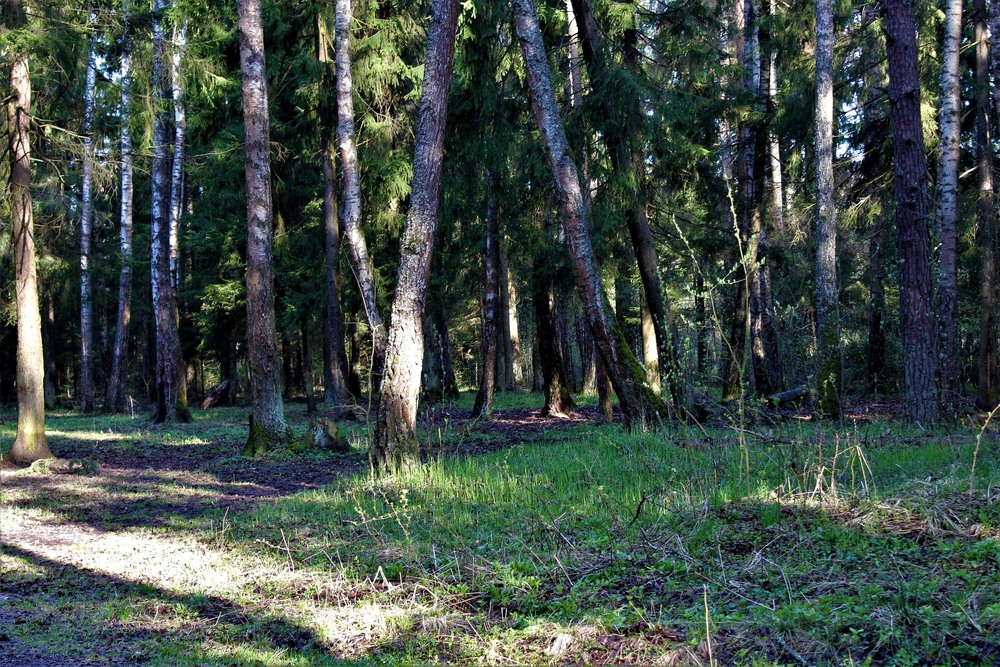 Фотографія Лicовi пригоди ) / Ruslana Tarasova / photographers.ua