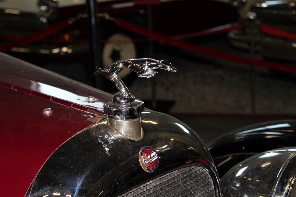 Фотографія Гламур / Ruslana Tarasova / photographers.ua