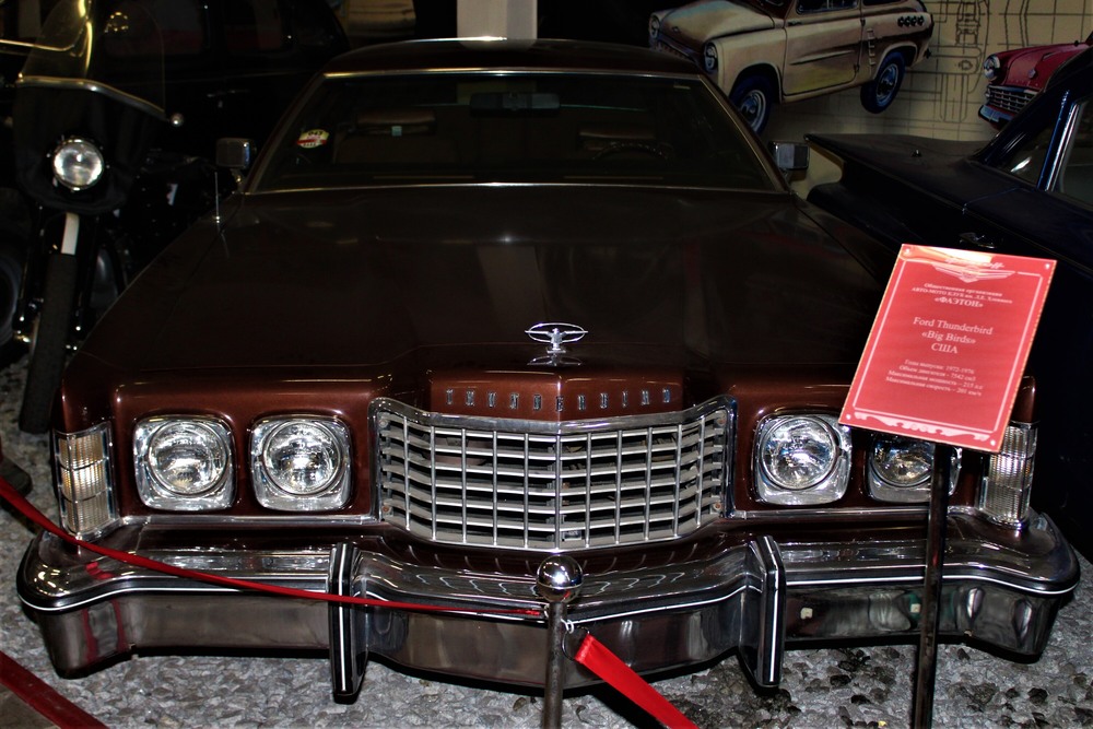 Фотографія Гламур / Ruslana Tarasova / photographers.ua