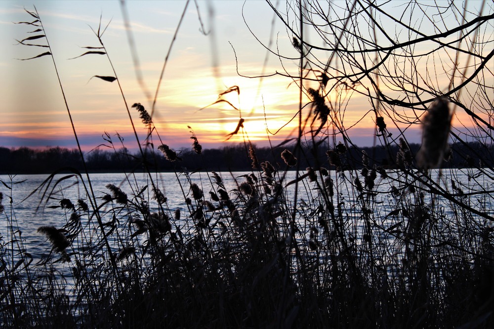 Фотографія Разное / Ruslana Tarasova / photographers.ua