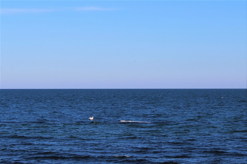 Фотографія Пейзаж / Ruslana Tarasova / photographers.ua