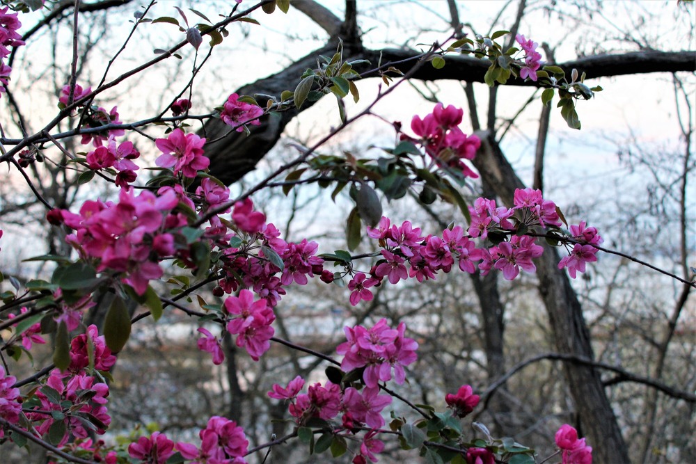 Фотографія Пейзаж / Ruslana Tarasova / photographers.ua