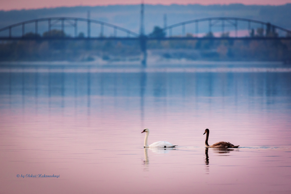 Фотографія Після заходу / Oleksii Nakonechnyi / photographers.ua