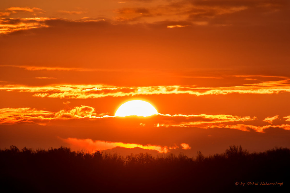 Фотографія Світанок / Oleksii Nakonechnyi / photographers.ua