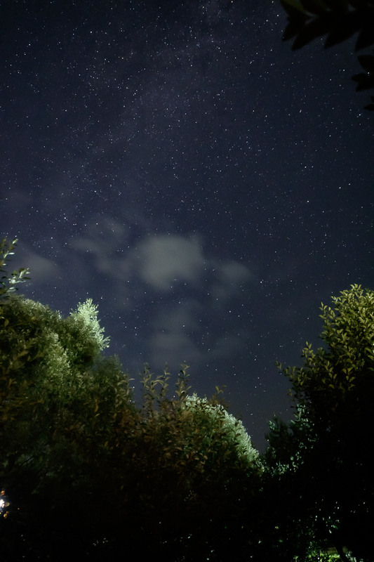 Фотографія Літня ніч у саду / Ігор Науменко / photographers.ua