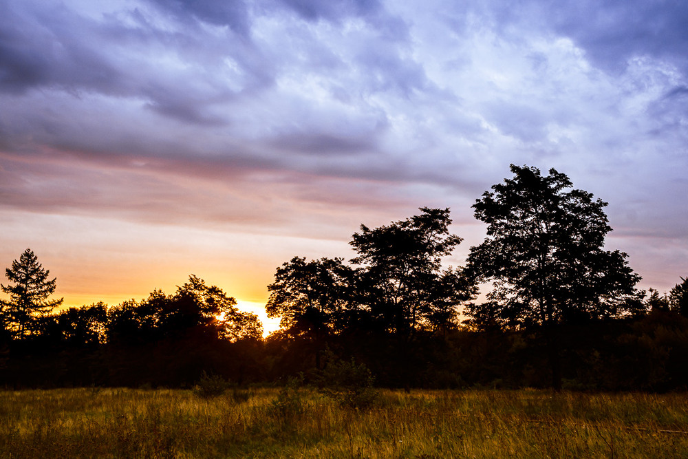 Фотографія Світанок в лісі... / Ігор Науменко / photographers.ua