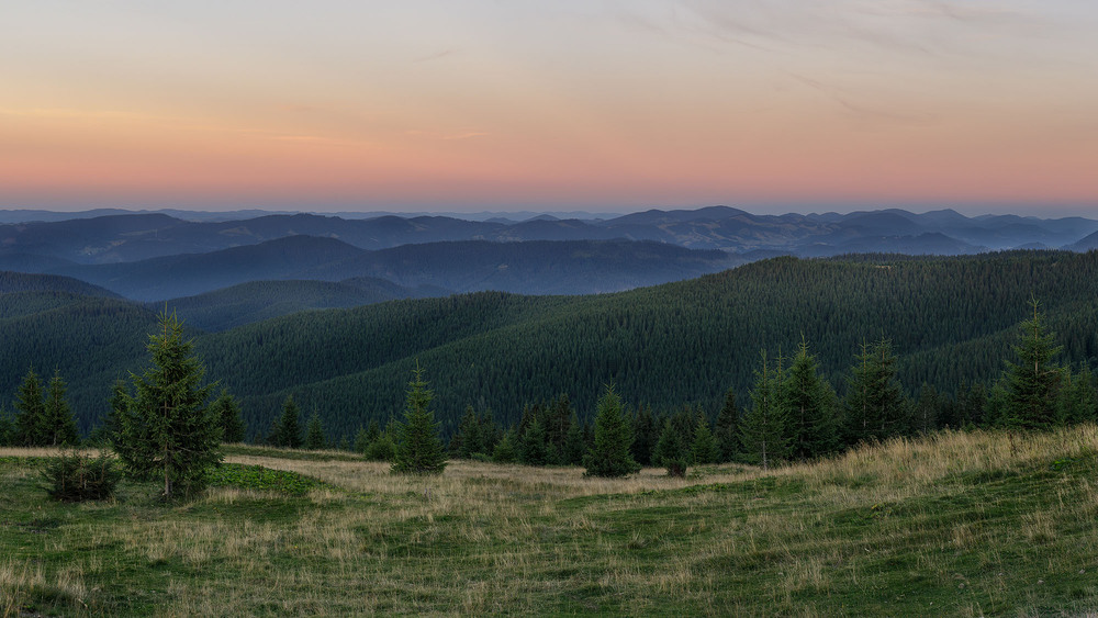 Фотографія Пано з ялинками / Paul Drevnytskyi / photographers.ua