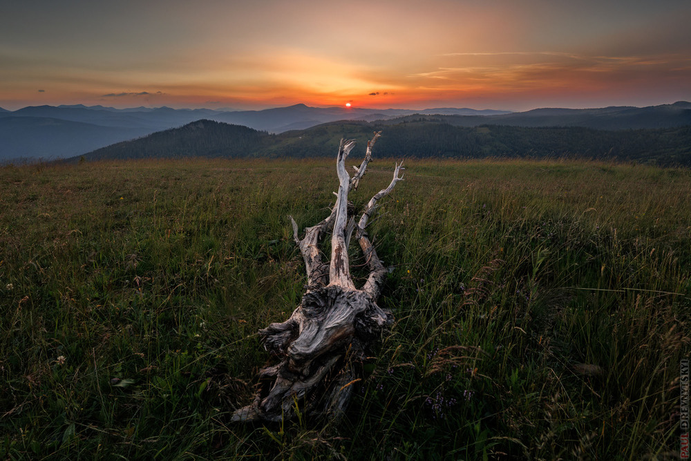 Фотографія Коли сонечко йде спати / Paul Drevnytskyi / photographers.ua