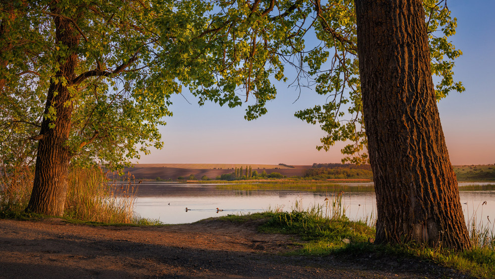 Фотографія Улюблене місце для бьордвочінгу / Paul Drevnytskyi / photographers.ua