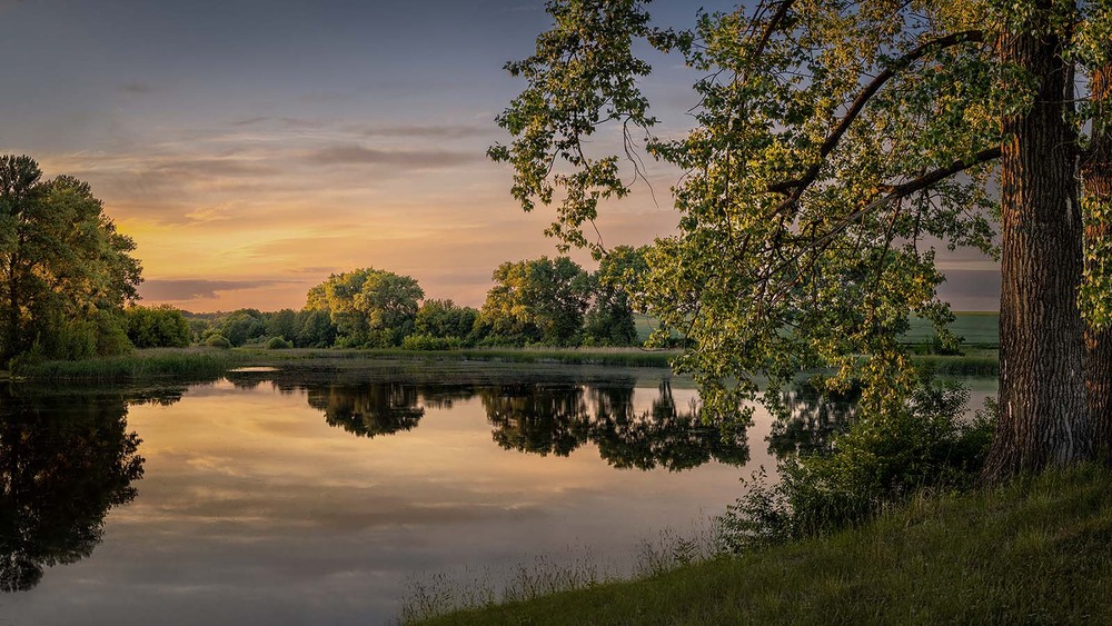 Фотографія Теплий вечір / Paul Drevnytskyi / photographers.ua