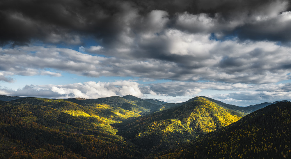 Фотографія 8 / Дмитрий / photographers.ua