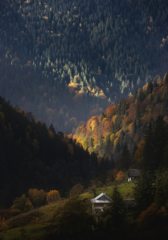 Фотографія 4 / Дмитрий / photographers.ua